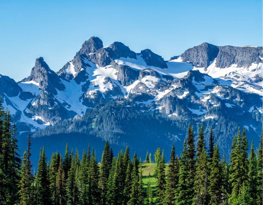 Top 5 Must-Visit Spots Near VelvetPine Hotel